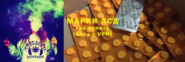 гашик Богданович