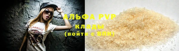 стафф Бородино