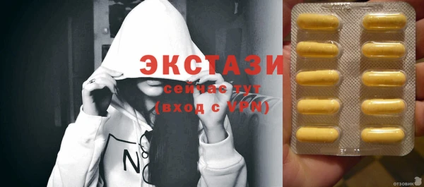 гашик Богданович