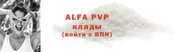 стафф Бородино