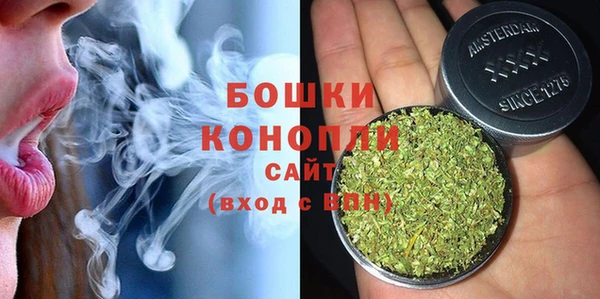 стафф Бородино