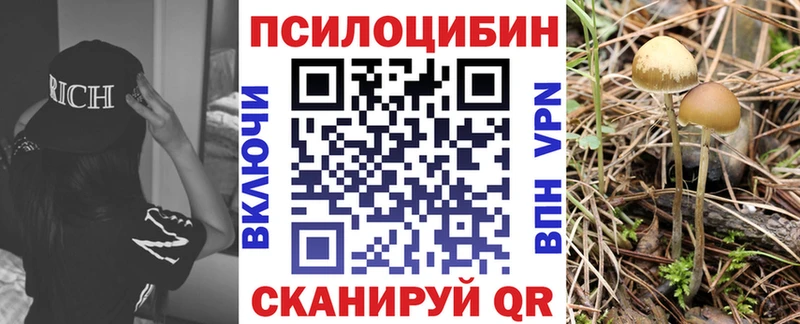 цены площадка какой сайт Галлюциногенные грибы Cubensis Гусиноозёрск